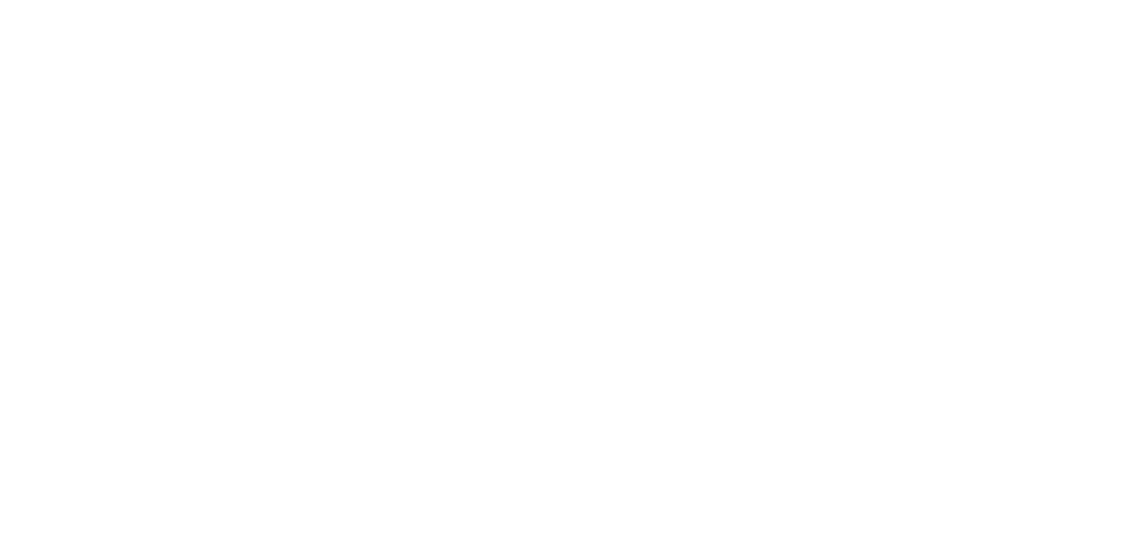 SOAR plus フッターロゴ