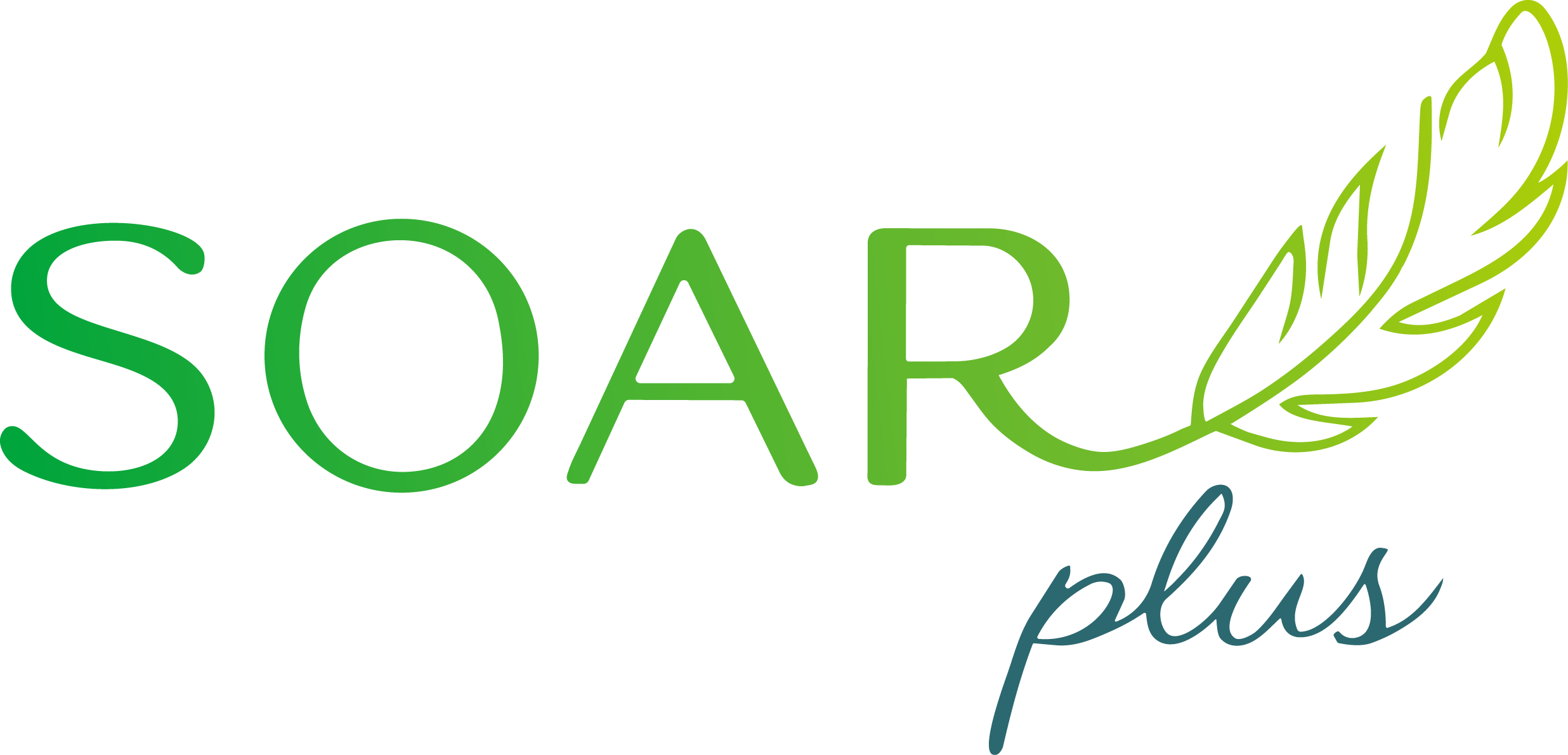 SOAR-plus